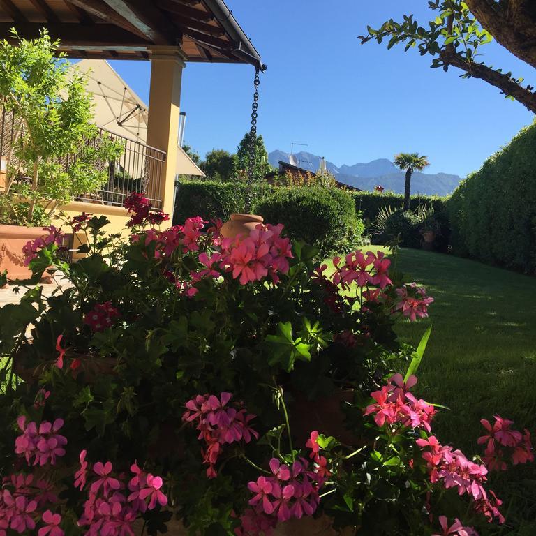 Relais Di Alice- Adults Only Bed & Breakfast Forte dei Marmi Exterior photo
